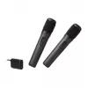 Mikrofon-Set JBL Wireless Two Microphone System