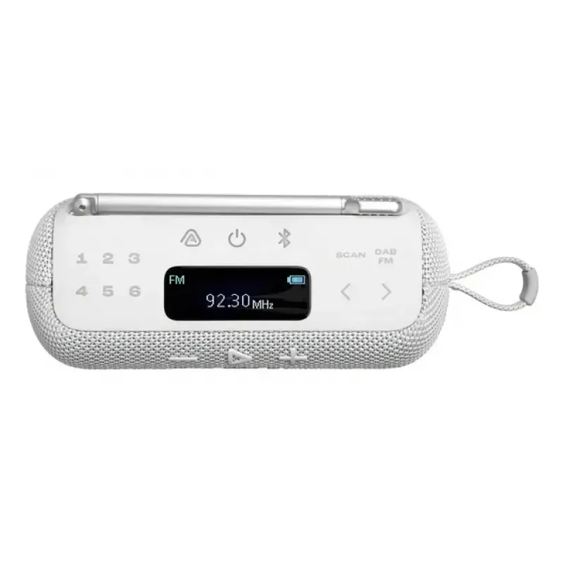 Tragbares Radio JBL Tuner 2 Schwarz Analog Digital DAB FM