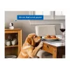 TP-LINK Tapo C250 | Pan/Tilt AI Home Security Wi-Fi-Kamera | PTZ | 8 MP | 4mm/F1.6 | H.265 | microSD-Karte bis zu 512 GB