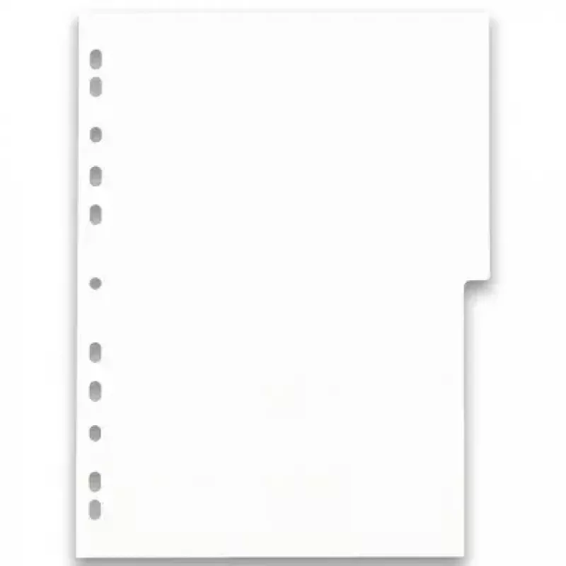 Divider Elba Oxford 400005445 — A4 Polypropylen (PP), sortierte Farben, 6 Stück, 227×300 mm