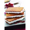 Ersatzplatte Tefal XA800512 für Snack Collection / SnackTime, schwarz, 242×155×44 mm, 2er-Pack