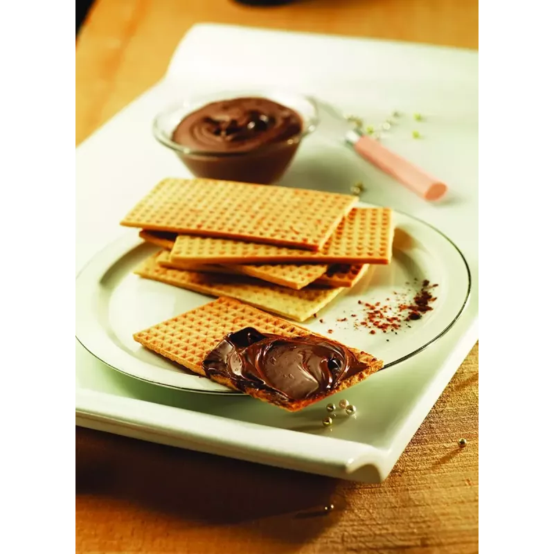 Ersatzplatte Tefal XA800512 für Snack Collection / SnackTime, schwarz, 242×155×44 mm, 2er-Pack