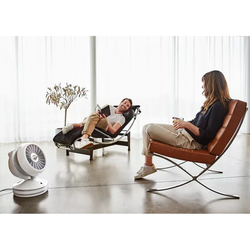 Rowenta HQ7152 Innenbereich Weiß, Silber Ventilator elektrischer Raumheizer
