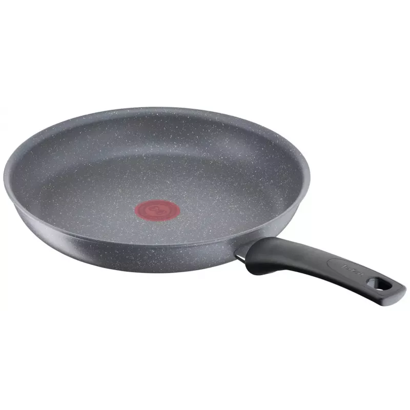 Allzweckpfanne Tefal Healthy Chef G15004 Rund 24 cm Grau