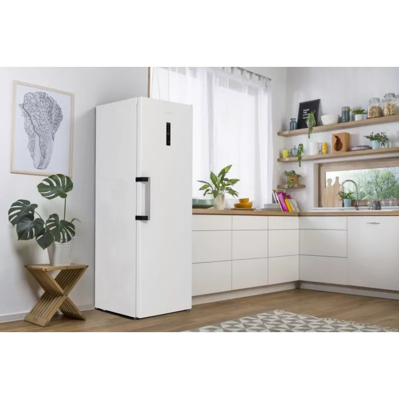 Gorenje FN619EAW6 Gefrierschrank Standgerät 280 L Weiß