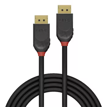 Lindy 36515 DisplayPort-Kabel 0,5 m Schwarz