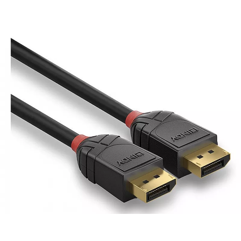 Lindy 36519 DisplayPort-Kabel 5 m Schwarz