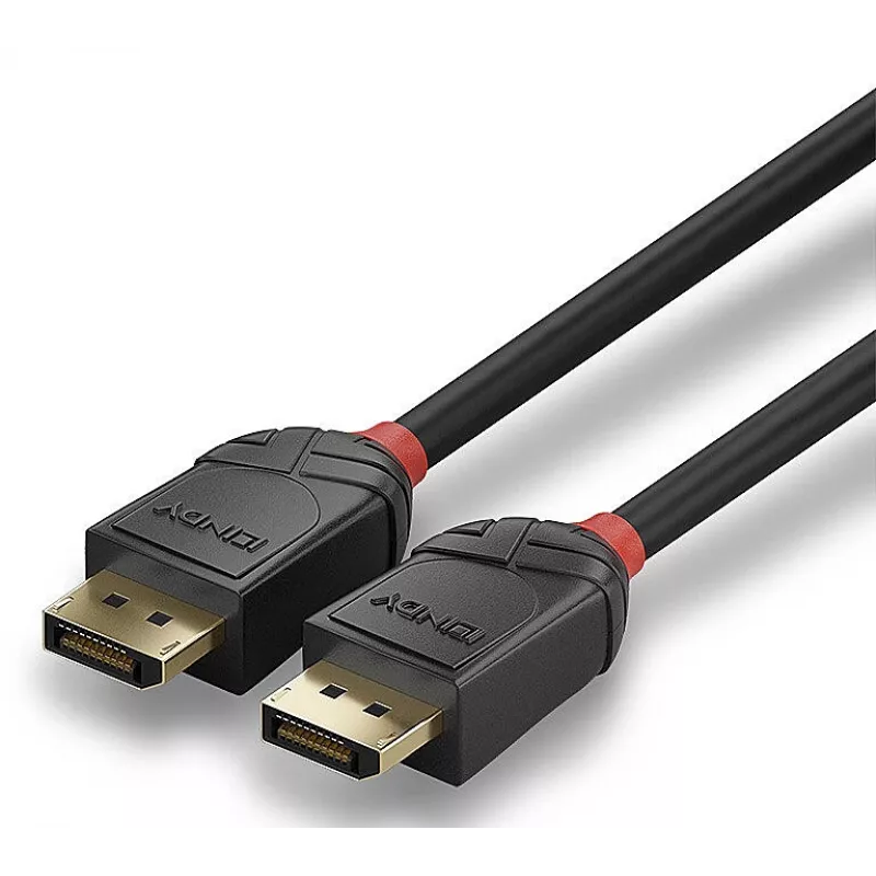 Lindy 36521 DisplayPort-Kabel 2 m Schwarz