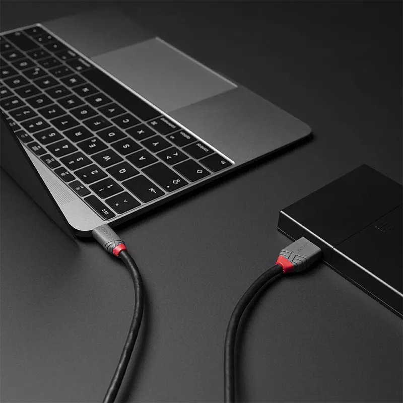 Lindy 1m USB 3.2 Typ C auf Micro-B Kabel, Anthra Line, 1 m, USB C, Micro-USB B, USB 3.2 Gen 1 (3.1 Gen 1), Schwarz