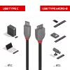Lindy 2m USB 3.2 Typ C auf Micro-B Kabel, Anthra Line, 2 m, USB C, Micro-USB B, USB 3.2 Gen 1 (3.1 Gen 1), Schwarz