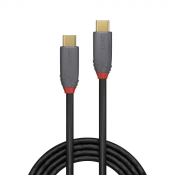 Lindy 36904 USB-Kabel USB 3.2 Gen 2 (3.1 Gen 2) 3 m USB C Schwarz
