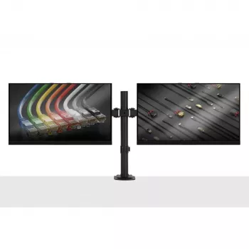 Lindy Dual verstellbarer Displayhalter, 8 kg, 33 cm (13 Zoll), 81,3 cm (32 Zoll), 75 x 75 mm, 100 x 100 mm, Schwarz