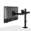 Lindy Dual verstellbarer Displayhalter, 8 kg, 33 cm (13 Zoll), 81,3 cm (32 Zoll), 75 x 75 mm, 100 x 100 mm, Schwarz