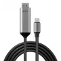 Lindy 43504 Videokabel-Adapter 2 m USB Typ-C DisplayPort Grau