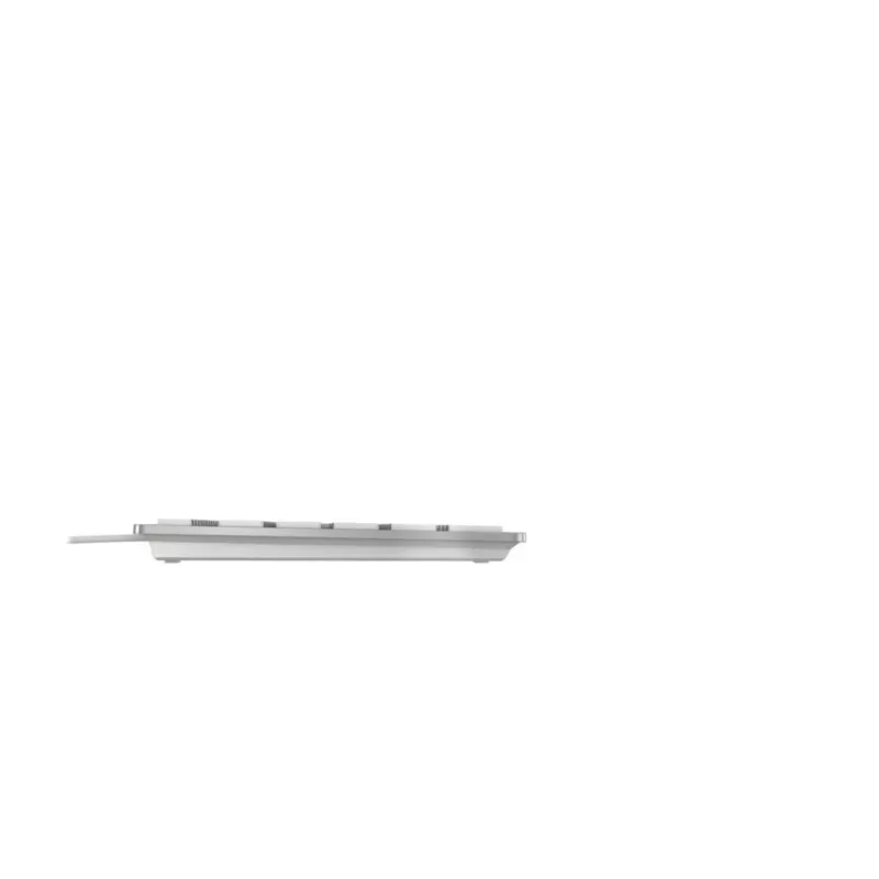 Cherry CHERRY KC 6000C FOR MAC kabelgebunden USB QWERTY Scherenschalter silber 1,8 m