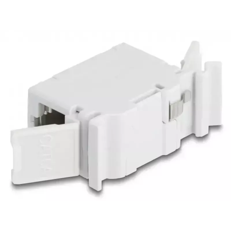 DeLOCK 90768 Keystone-Modul Flach Grau RJ-45