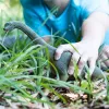 schleich Dinosaurier Brachiosaurus, 4 Jahr(e), Zeitalter der Dinos, Die Eroberung der Erde, Dinosaurier und Vulkan, Die ersten Giganten, Mehrfarbig, Kunststoff