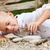 schleich Dinosaurs Triceratops, 4 Jahr(e), Conquering the Earth, Dinosaurier und Vulkan, Mehrfarbig, Kunststoff, 1 Stk.