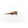 Schleich WILD LIFE Leguan Mehrfarbig 14854 Empfohlenes Alter 3 Jahre