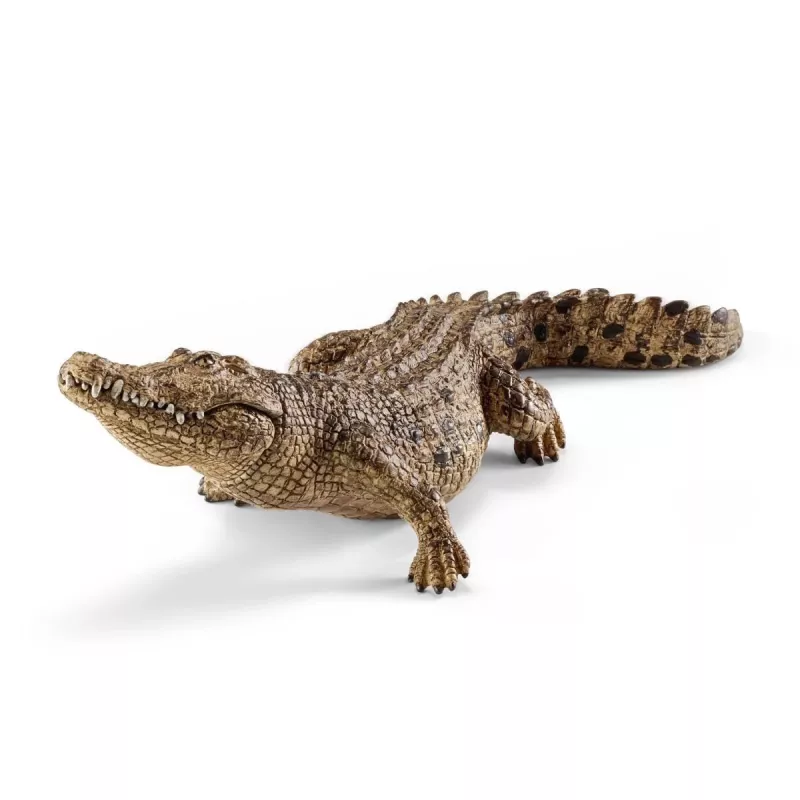 schleich WILD LIFE Krokodil, 3 Jahr(e), Safari, Wildtiere / Abenteuerspielzeug, Mehrfarbig, Kunststoff, 1 Stk.