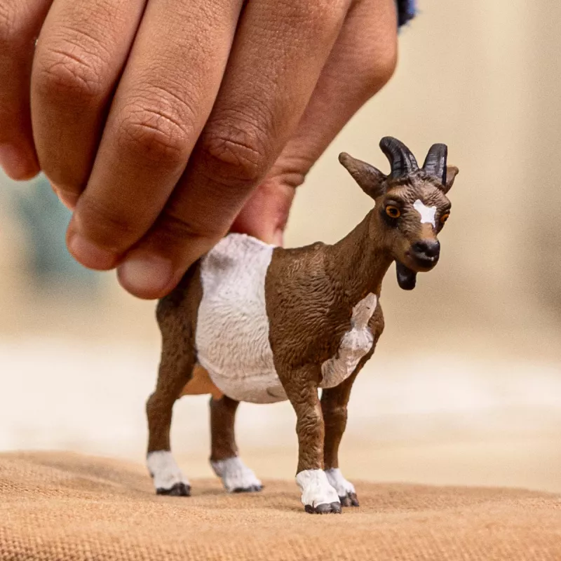 schleich FARM WORLD Ziege, 3 Jahr(e), Bauernhof, Bauernhoftiere/Bauernhofspielzeug, Mehrfarbig