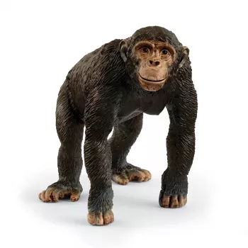 schleich WILD LIFE Schimpanse, 3 Jahre, Mehrfarbig