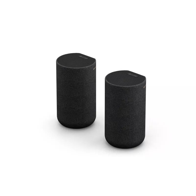Sony SA-RS5 2-Wege Schwarz Kabelgebunden & Kabellos 180 W