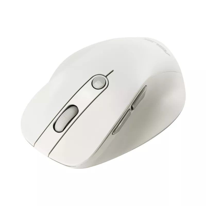 Kabellose Rechtshänder-Maus ASUS MD105 MK-WH — RF + Bluetooth, 2400 DPI, Rad, Batterie, Beige