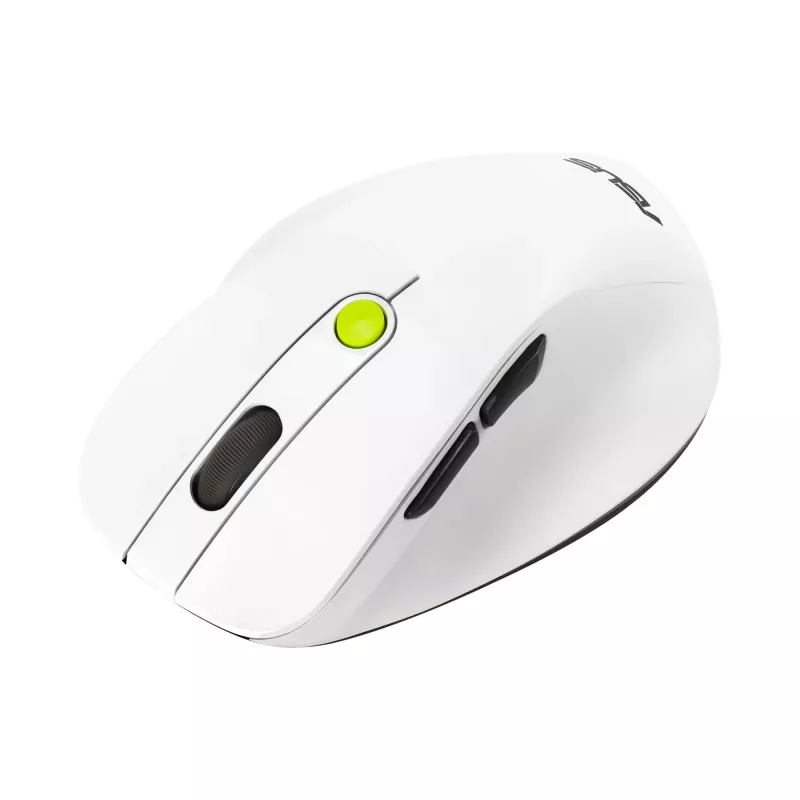 Maus ASUS MD105 /VT-GN — rechtshändig RF wireless + Bluetooth, 2400 DPI, Scrollrad, batteriebetrieben, weiß/grün