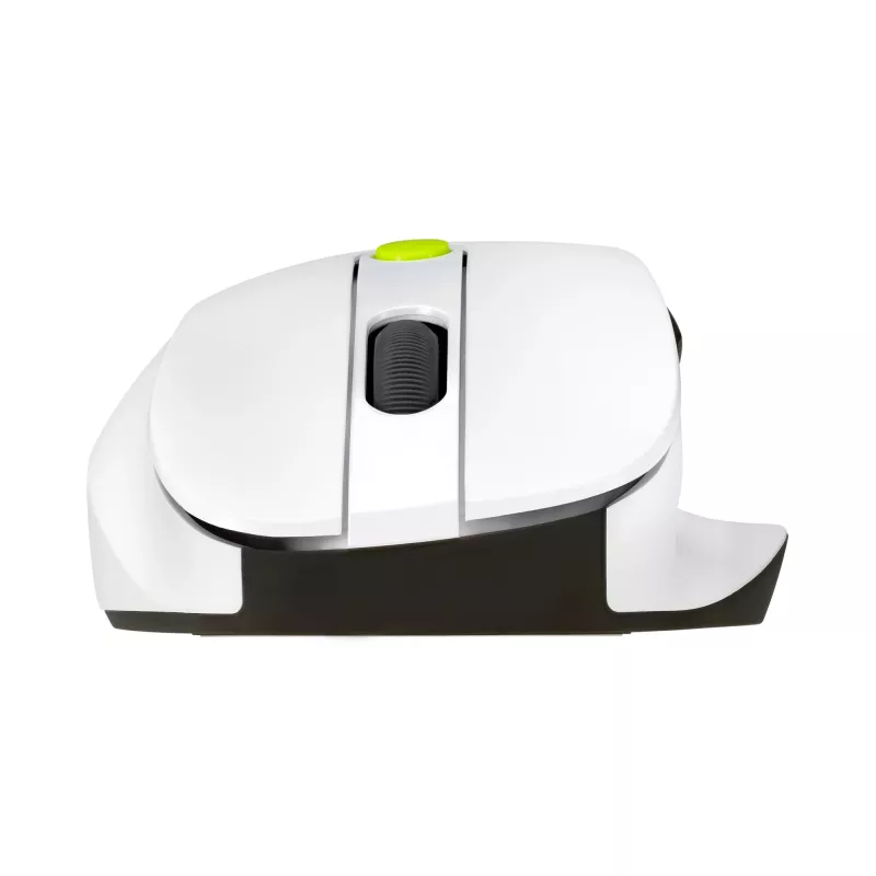 Maus ASUS MD105 /VT-GN — rechtshändig RF wireless + Bluetooth, 2400 DPI, Scrollrad, batteriebetrieben, weiß/grün