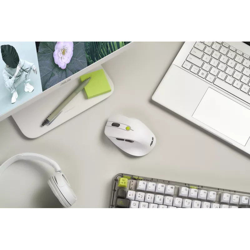 Maus ASUS MD105 /VT-GN — rechtshändig RF wireless + Bluetooth, 2400 DPI, Scrollrad, batteriebetrieben, weiß/grün