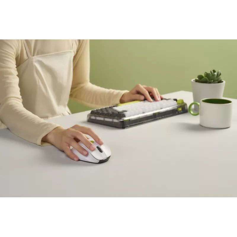 Maus ASUS MD105 /VT-GN — rechtshändig RF wireless + Bluetooth, 2400 DPI, Scrollrad, batteriebetrieben, weiß/grün