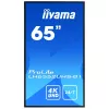 Digital-Signage-Display IIYAMA LH6552UHS-B1 64,5 Zoll IPS 4K 3840x2160 500 cd/m² Android 8.0 24/7 Schwarz