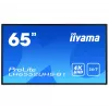 Digital-Signage-Display IIYAMA LH6552UHS-B1 64,5 Zoll IPS 4K 3840x2160 500 cd/m² Android 8.0 24/7 Schwarz