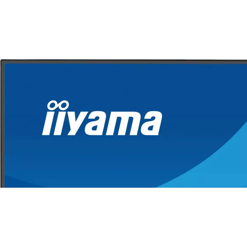 Monitor IIYAMA ProLite X2491HS-B1 60,5 cm (23,8 Zoll) Full-HD-IPS-LCD, 1920×1080, 178° Betrachtungswinkel, matt, integrierte Lautsprecher, VESA, schwarz
