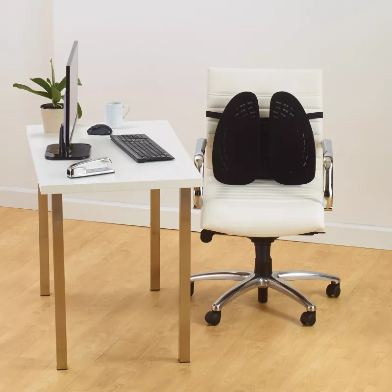Mesh-Rückenstütze Kensington SmartFit Conform
