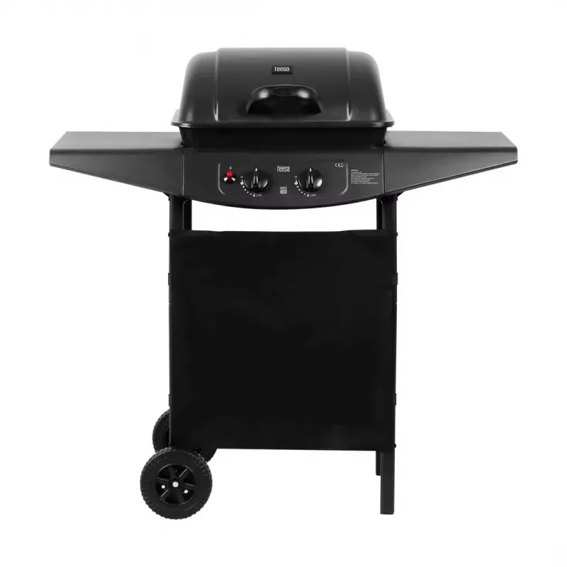 Gasgrill TEESA TSA0080 — 2 Brenner, tragbarer Outdoor-Grill