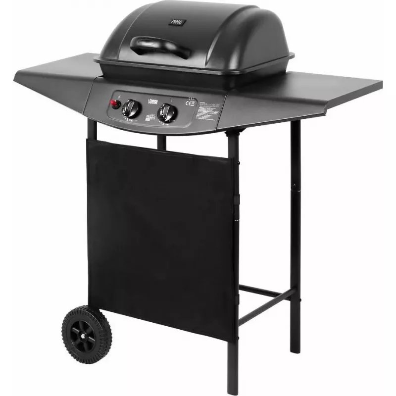 Gasgrill TEESA TSA0080 — 2 Brenner, tragbarer Outdoor-Grill