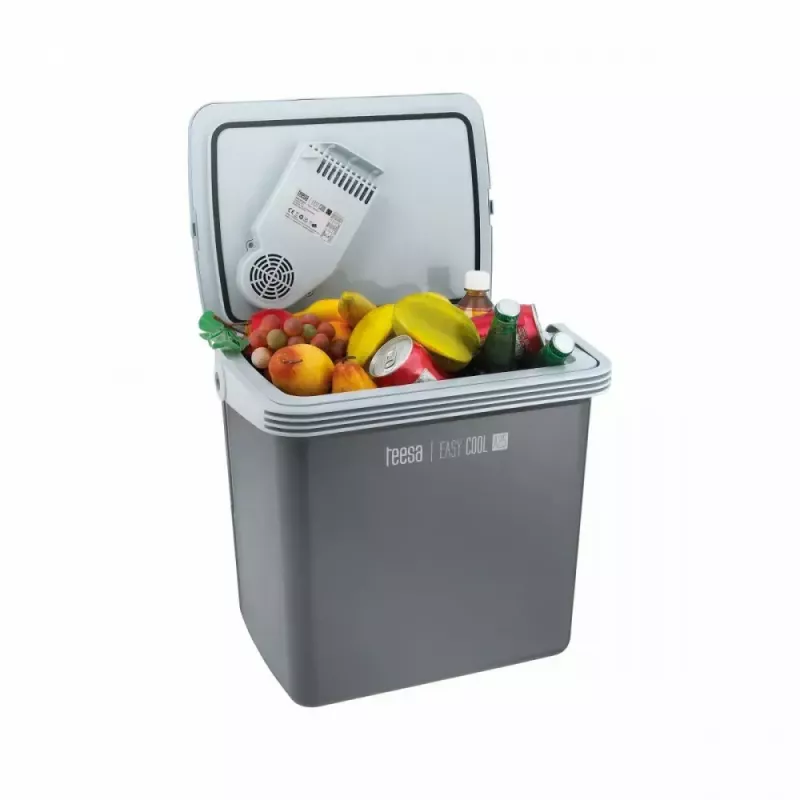 Tragbare Kühlbox TEESA TSA5001.1 25L – leichte isolierte Transportkühlbox