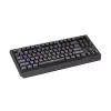GENESIS Thor 230 TKL Tastatur Gaming USB + RF Wireless + Bluetooth QWERTZ Schwarz