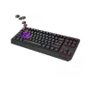 GENESIS Thor 230 TKL Tastatur Gaming USB + RF Wireless + Bluetooth QWERTZ Schwarz