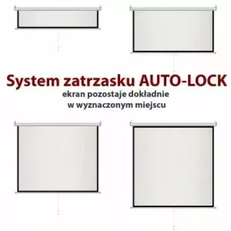 Projektionsleinwand ART ER M96 1:1