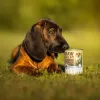 VETEXPERT RAW PALEO Puppy Monoprotein Kabeljau 400 g, getreidefrei, für Junghunde, Dose