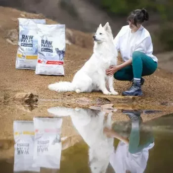 Trockenfutter für Hunde VETEXPERT RAW PALEO Ultra Medium & Large Adult Turkey — 2 kg, getreidefrei, Protein 24,5 %, Fett 14 %