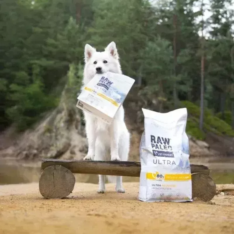 Trockenfutter für Hunde VETEXPERT RAW PALEO Ultra Medium & Large Adult Turkey — 2 kg, getreidefrei, Protein 24,5 %, Fett 14 %