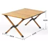 Faltbarer Tisch PROMIS ST90 rollbarer, tragbarer Touristiktisch, einteilige Packung