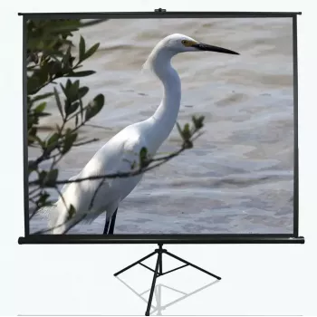 Stativ-Projektionsleinwand Elite Screens T100UWV1 2,54 m (100 Zoll) 4:3