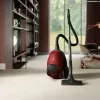 Electrolux PD82-ANIMA 3,5 L Zylinderstaubsauger Trocken 600 W Staubbeutel