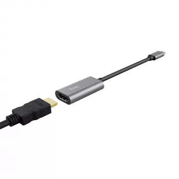 Trust Dalyx USB-Grafikadapter Grau