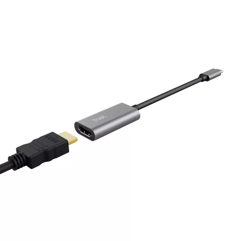 Trust Dalyx USB-Grafikadapter Grau